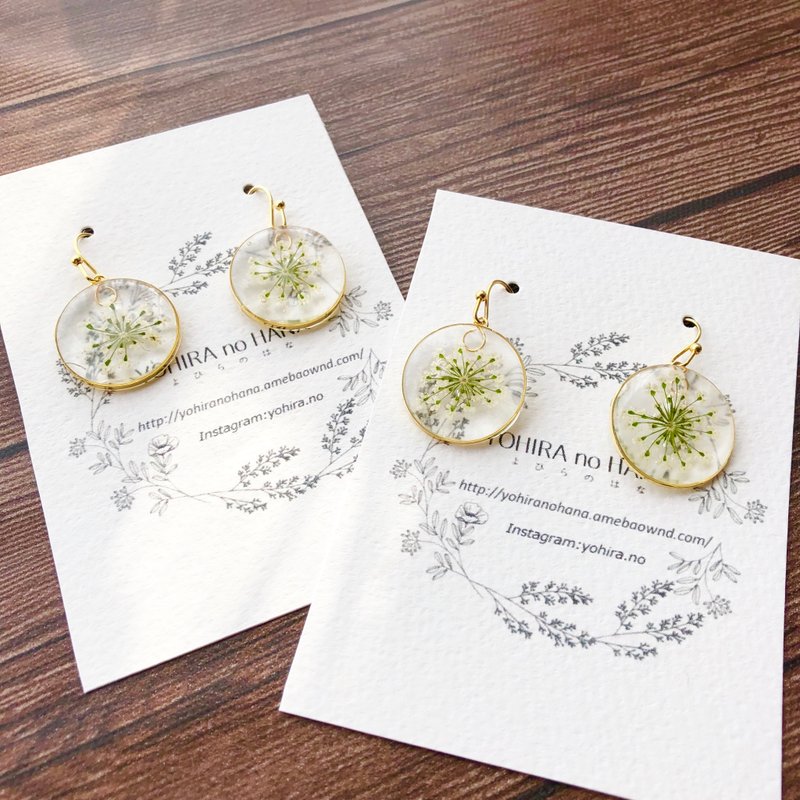 Flower round hook earrings - Earrings & Clip-ons - Plants & Flowers White