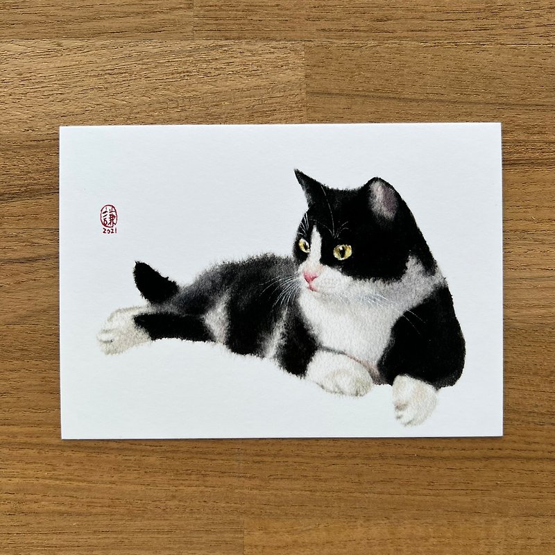 Fluffy Mercedes Cat Postcard - Stickers - Paper Multicolor