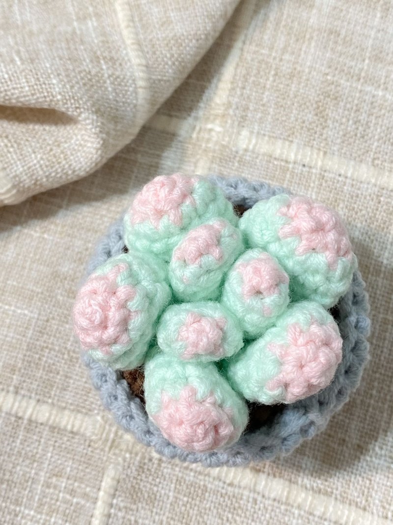 獨家設計 | 手工鉤織粉色多肉植物小盆栽擺設 - 擺飾/家飾品 - 其他材質 粉紅色