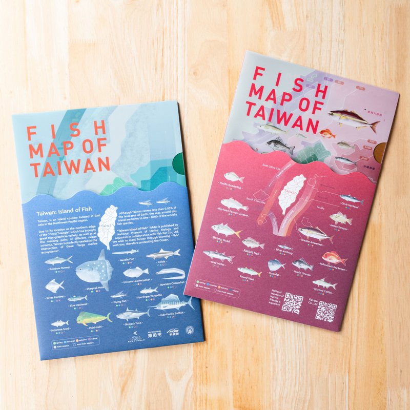 【Taiwan Fish Island】Information folder set (two pieces) - Folders & Binders - Plastic Blue