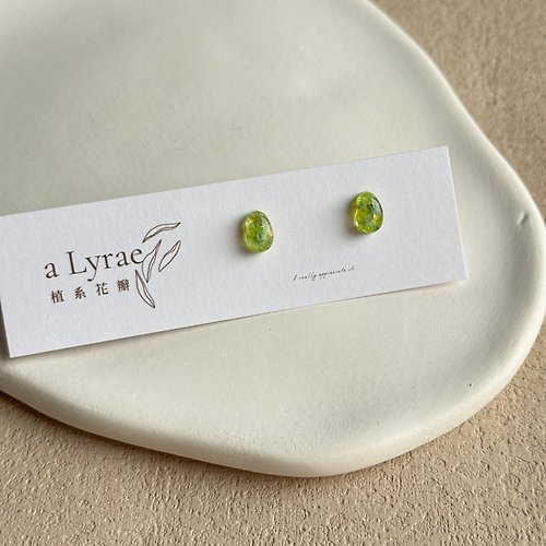 a Lyrae 植系花瓣 耳針式耳環 鍍14K金耳針 醫療鋼 糖豆系列 璀璨 春紛 手作飾品