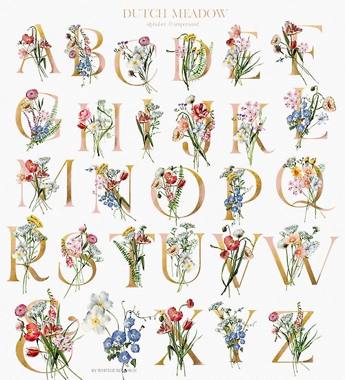 Whiteheartdesign Field Flowers Watercolor Floral Clipart Golden Age Dutch Style Lettering PNG
