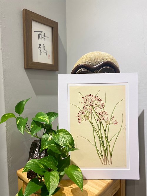 酷鴞藝術 Dead Poets Society 本店獨立印製英國古典植物圖鑑Flower Garden 花卉插畫