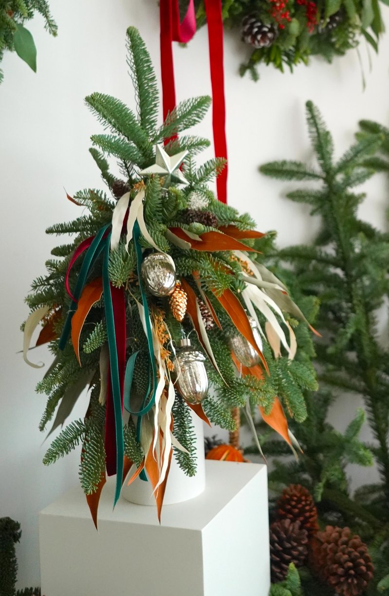 桌上型諾貝松聖誕樹 - 盆栽/植栽 - 植物．花 綠色