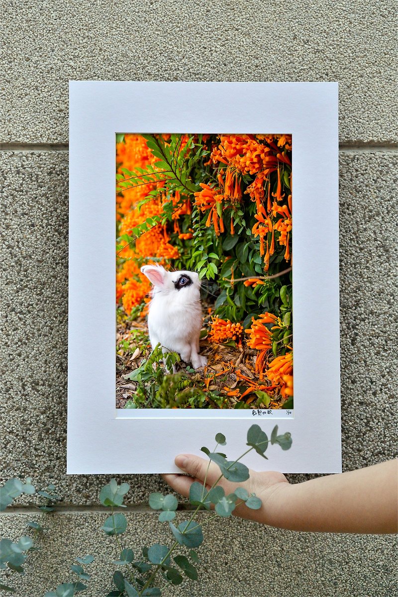 オリジナルの限定版ウサギ写真アート-Guangcai - 置物 - 紙 オレンジ