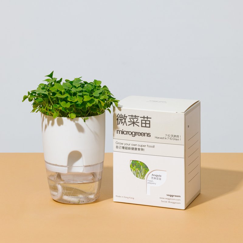 【自己的菜自己種】 【禮物】可重用微菜苗microgreens種植杯 - 植栽/盆栽 - 植物．花 白色