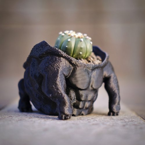 自圓其說3D設計 【金剛王】3d盆器 塊根盆 多肉盆 3d列印 白馬城 象牙宮 盆