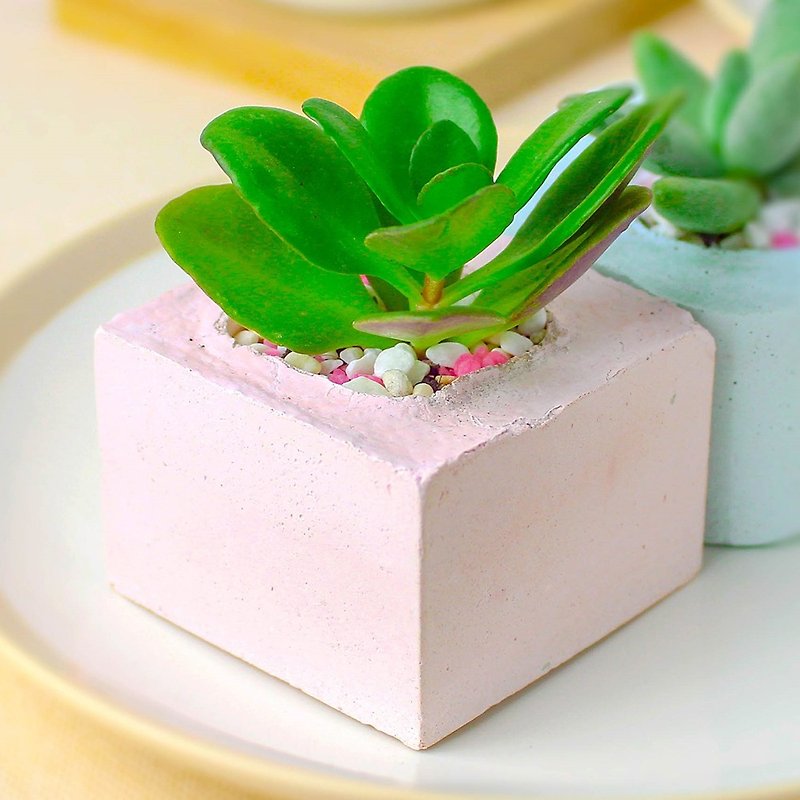 Cement potted plants | healing more meat: square (Maccaron monochrome) | without plants - ตกแต่งต้นไม้ - ปูน สึชมพู