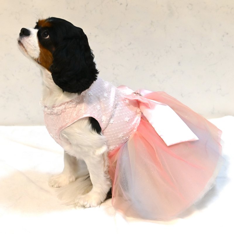 Pink Floral Rainbow Dress Pet Clothing - ชุดสัตว์เลี้ยง - เส้นใยสังเคราะห์ 