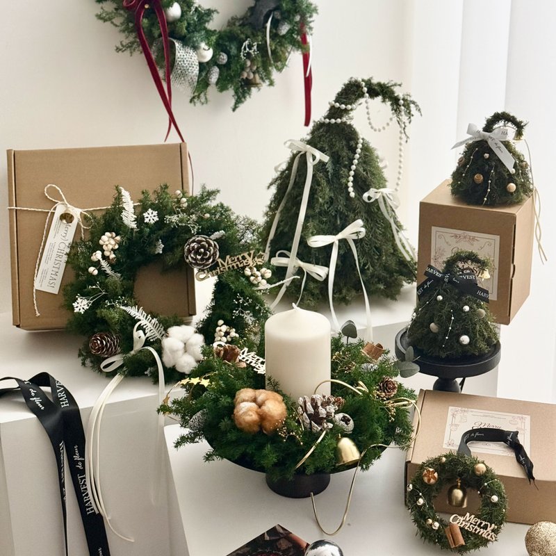 HARVEST 聖誕花圈 聖誕樹 聖誕花束 聖誕卡片 交換禮物 聖誕禮物 - 乾燥花/永生花 - 植物．花 綠色