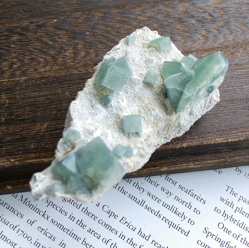 Fluorite 內蒙產地 莫蘭迪綠 綠螢石 天然礦石 原礦 - 擺飾/家飾品 - 其他材質 