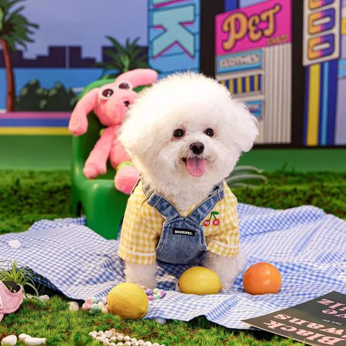 Mookipet mookipet狗狗夏天衣服可牽引繩泰迪寵物小型犬牛仔背心背帶