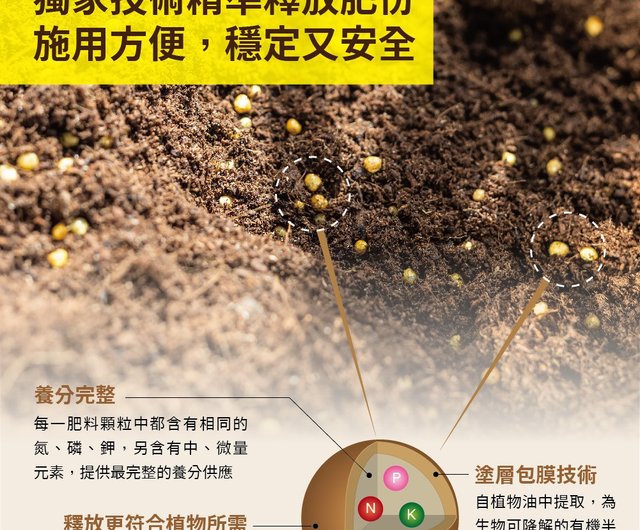 グリーンヒョウ鉢植え徐放性肥料多年生植物多肉サボテン型徐放性肥料多肉シダに適しています ショップ Bj Succulents Pinkoi