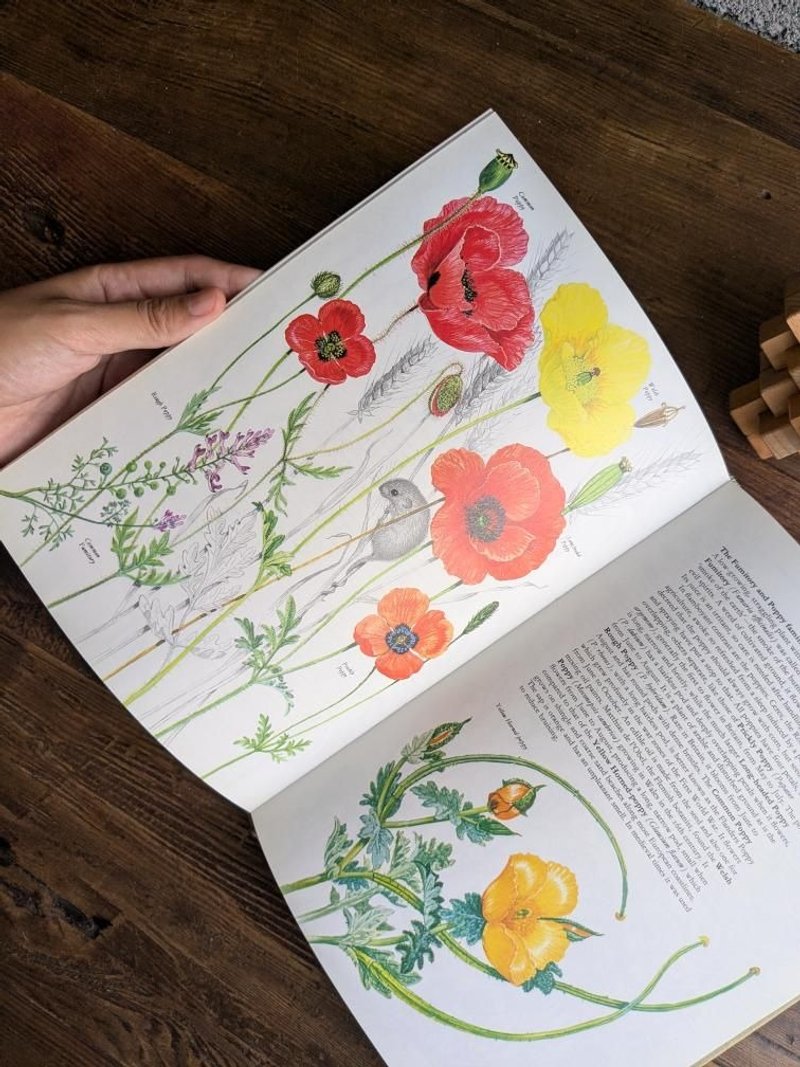 英倫鄉野之花/老書/古書/圖鑑/花藝/禮物 - 刊物/書籍 - 紙 黃色