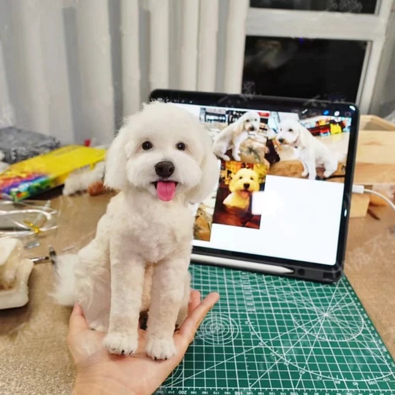 客製化逼真羊毛氈寵物娃娃定製手工複刻狗狗猫咪毛小孩肖像公仔 - 貓/狗玩具 - 羊毛 多色
