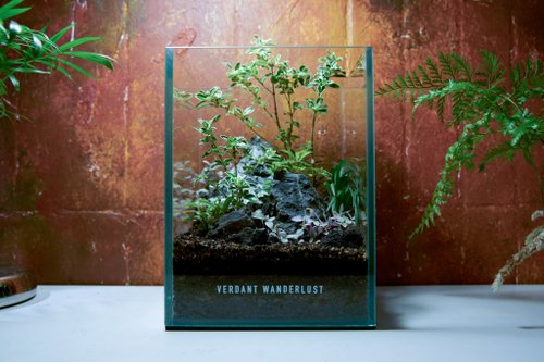 景觀丸藝 Verdant Wanderlust 【生態缸-霜染青峰】微景觀 室內植栽 禮物 辦公室擺設