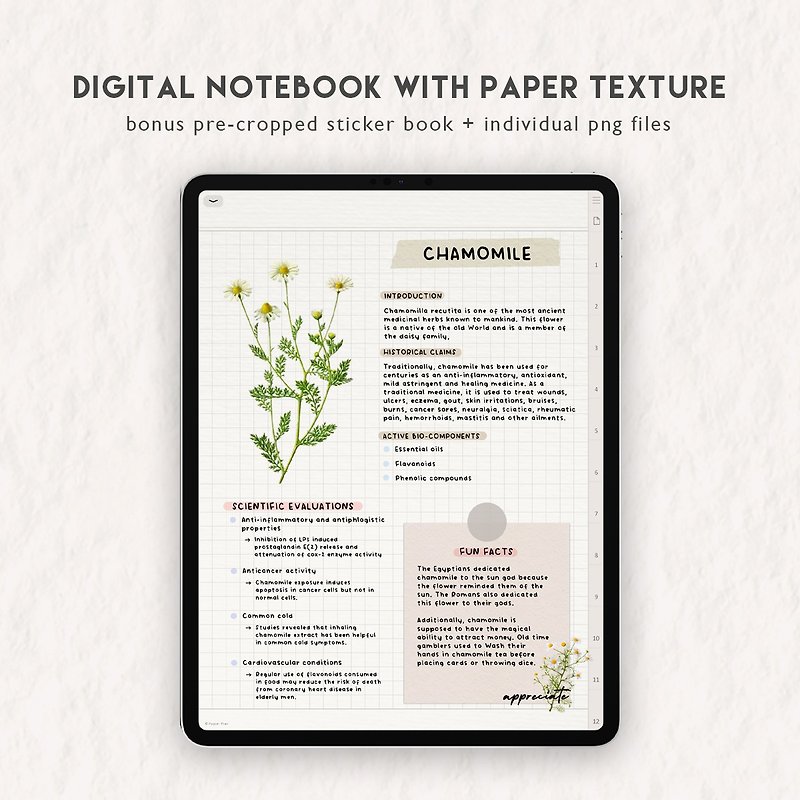 Digital Paper Texture Notebook for GoodNotes Notability Samsung Notes iPad - ดิจิทัลแพลนเนอร์ - วัสดุอื่นๆ 