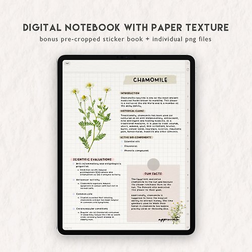 Papier Plan Digital Paper Texture Notebook for GoodNotes Notability Samsung Notes iPad