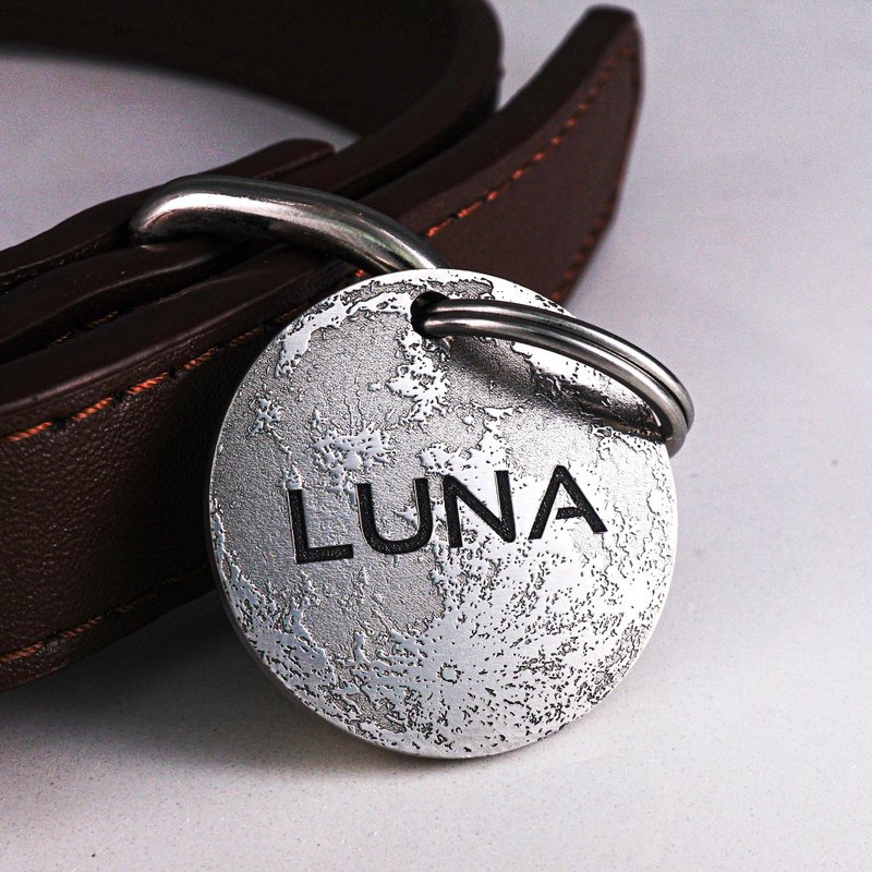 Luna Pet Tag, Moon Dog Tag, Engraved Dog Name Tag Cat Tag Custom Galaxy Dog Tag - Collars & Leashes - Stainless Steel Silver