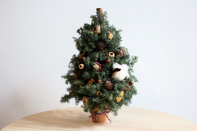 [Christmas handmade] Christmas tree with mulled wine and banana cake - Plants & Floral Arrangement - Plants & Flowers 
