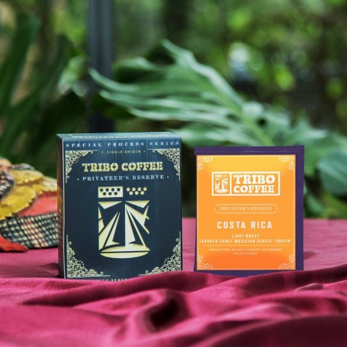 TRIBO COFFEE 哥斯大黎加 音樂家系列 蕭邦 葡萄乾蜜處理 淺中焙濾掛式咖啡