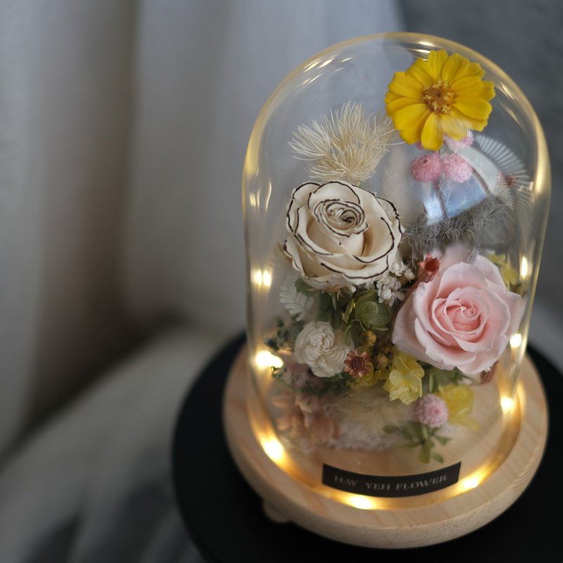 [Happy] Preserved flower glass shade lamp holder, preserved flower imported from Japan and Ecuador - ช่อดอกไม้แห้ง - พืช/ดอกไม้ 