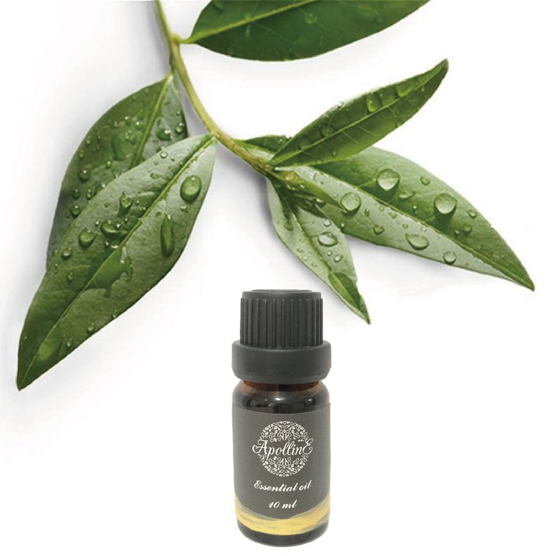 Tea tree oil TEA TREE - น้ำหอม - น้ำมันหอม 