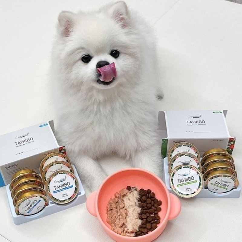 狗罐 大喜寶健康小金罐 維持免疫力 30gX8裝 無膠肉泥 - 狗罐頭/鮮食 - 其他材質 白色