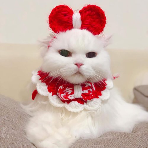 李羅浪漫LEELO ROMANTIC LOVE PETS 毛線編織帽/寵物毛線帽/蝴蝶帽/犬貓頭套/寵物狗狗貓咪毛線
