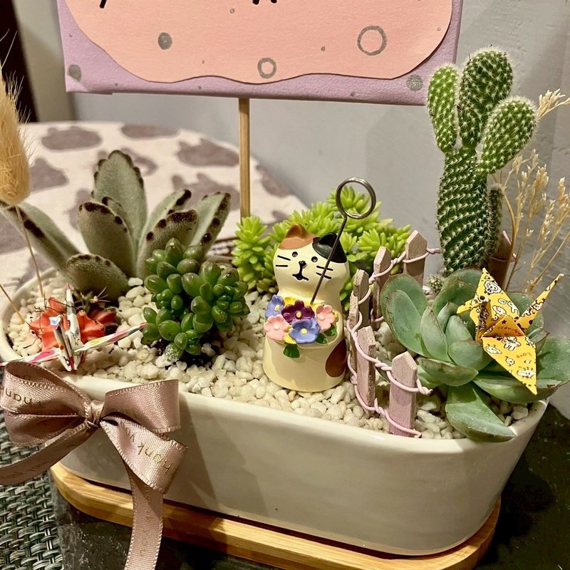 粉紫捧花 貓 台中多肉組盆 多肉植物 植栽送禮 生日 日本decole - 盆栽/植栽 - 植物．花 綠色