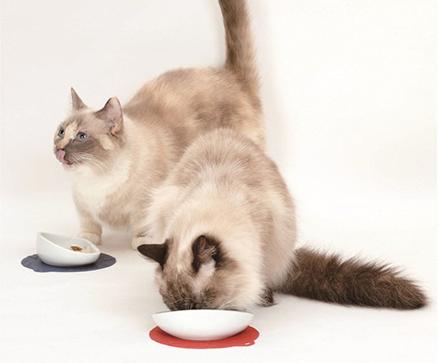 magnetic cat bowls