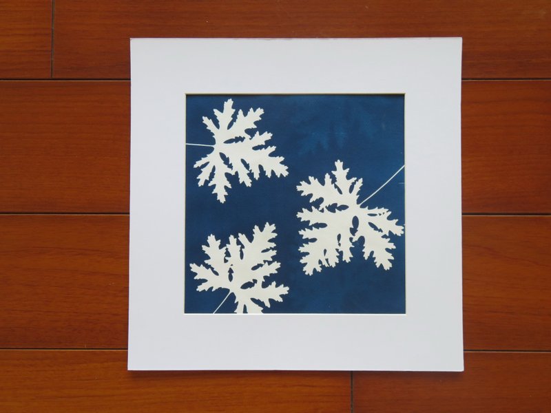 Botanic Cyanotype Framed Art Piece - ตกแต่งผนัง - กระดาษ สีน้ำเงิน