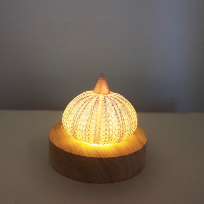 Slow wind of simmer night – shell lamp - ของวางตกแต่ง - ไม้ สีม่วง