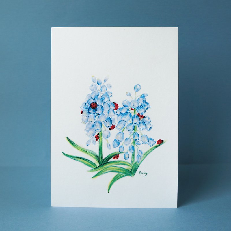 Postcard spring grape hyacinth and ladybugs - การ์ด/โปสการ์ด - กระดาษ สีน้ำเงิน