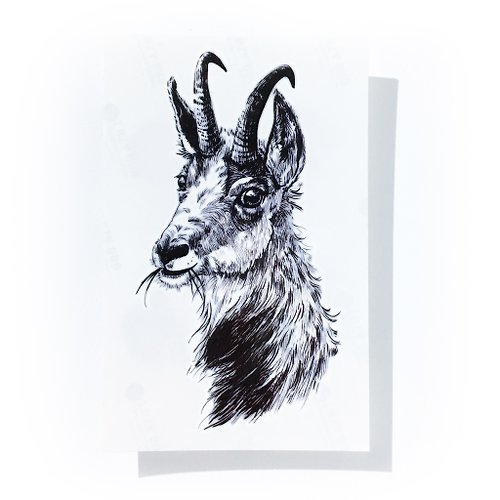 ╰ LAZY DUO TATTOO ╮ 手繪動物插畫剌青山羊紋身貼紙品大自然中性男士型格嘻皮文青飾物