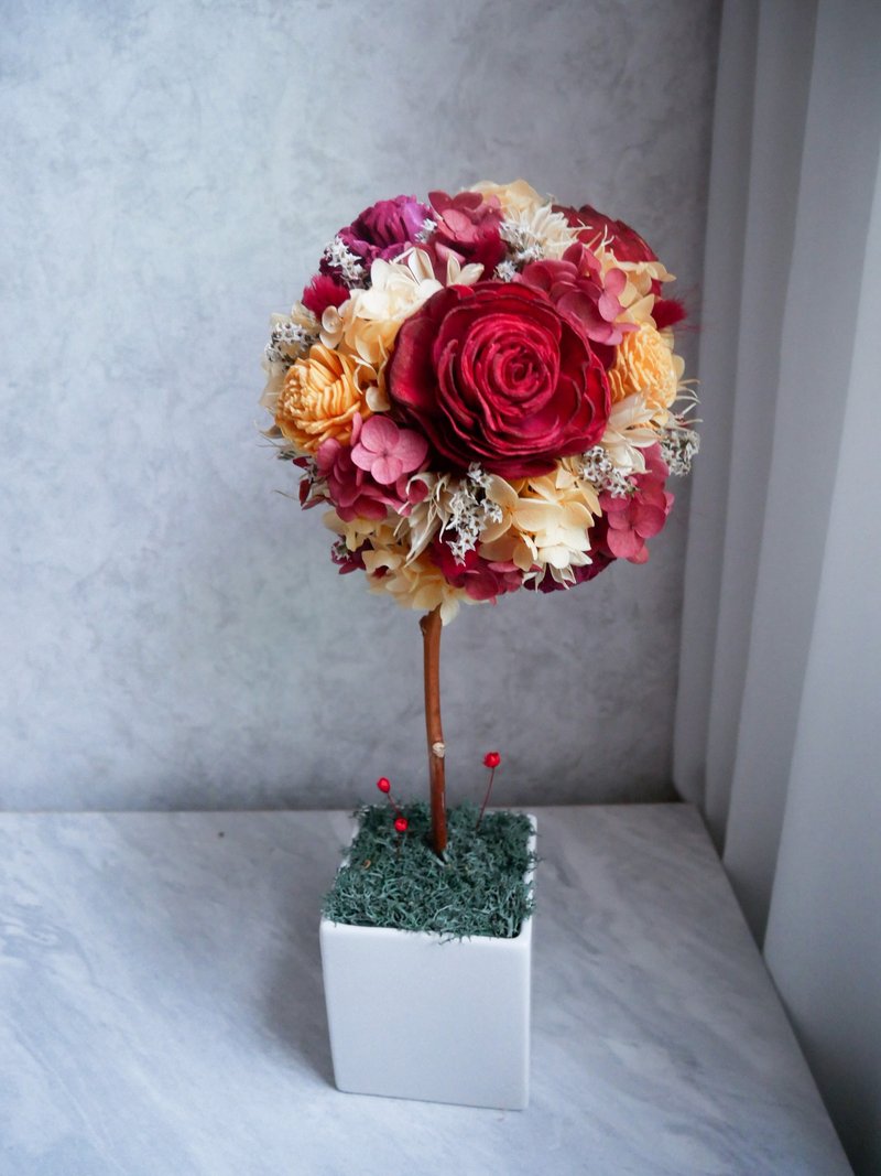 不凋繡球花球樹盆花【橘橙暗紅】開幕禮/新居/名片座/客製化 - 盆栽/植栽 - 植物．花 紅色