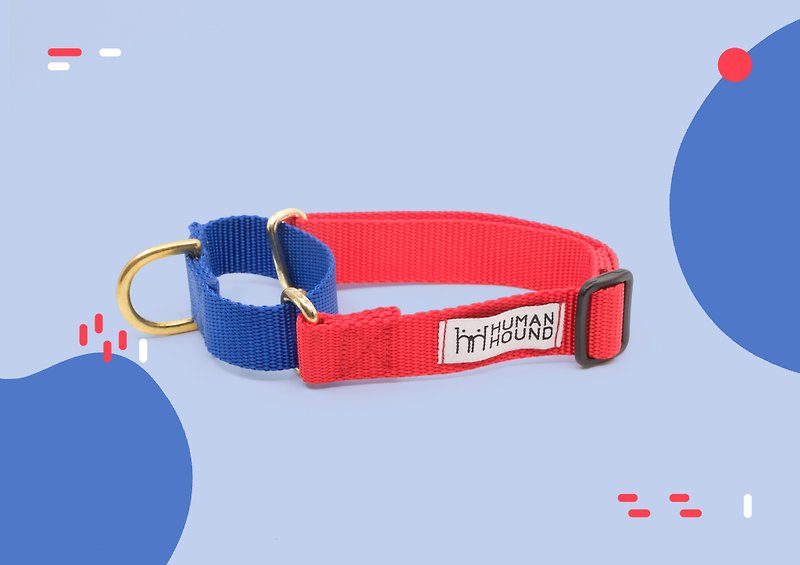 Martingale Collar - Blue x LightRed - Collars & Leashes - Nylon Red
