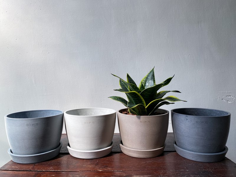 【盆器】ECOPOTS - Stockholm 斯德哥爾摩碗盆16*12.5cm (含底座) - 花瓶/花器 - 環保材質 灰色