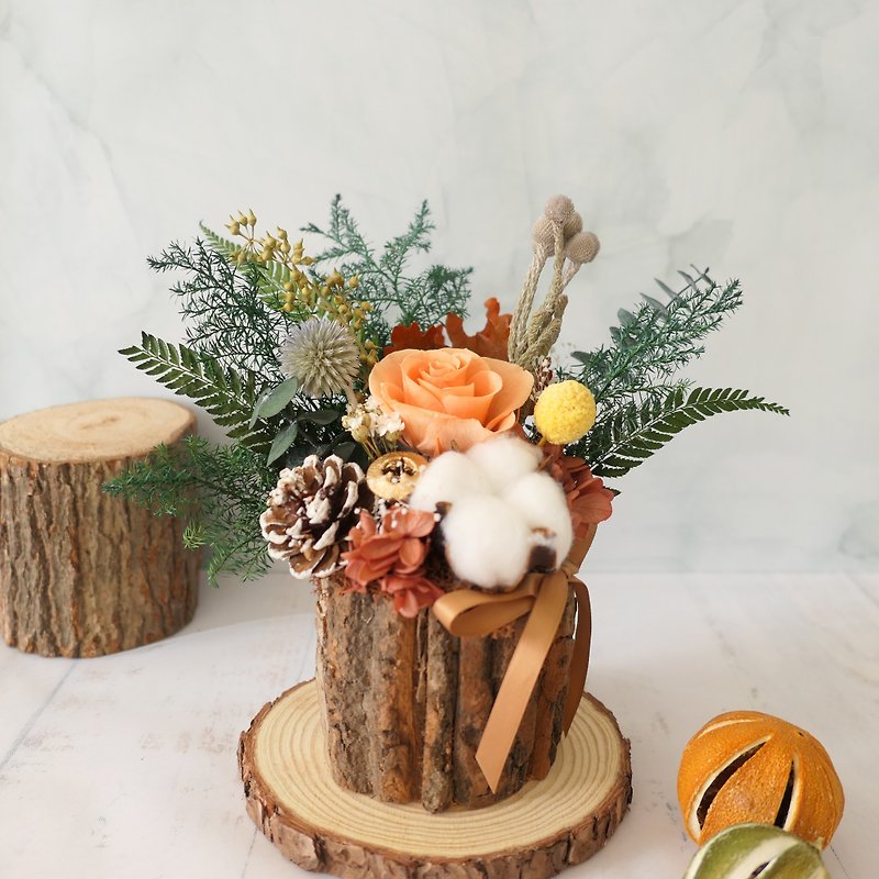 [Preserved flower Christmas potted flowers] Warm orange Christmas/eternal rose/eternal cedar/everlasting flower/cotton pinecone - ของวางตกแต่ง - พืช/ดอกไม้ สีส้ม