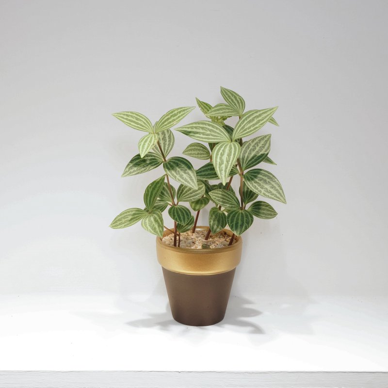 盆器單售|輕奢華墨金陶盆|直徑約8cm - 盆栽/植栽 - 植物．花 