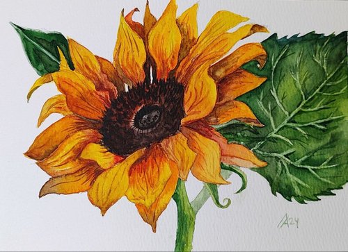 絵画 向日葵 花 水彩 植物画 ボタニカルアート art watercolor 夏の花 sunflower . . . . . . . #ひまわり#透明水彩#水彩