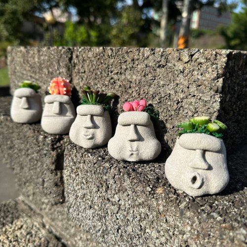 覓俬謝 摩艾長肉肉 模擬 多肉植物 摩艾石像 畢業禮物 聖誕禮物 生日禮物