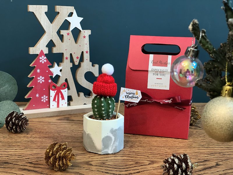 [24H shipping. Super cute Christmas exchange gift No. 1] Succulent octagonal Cement pot cactus - ตกแต่งต้นไม้ - ปูน สีเทา