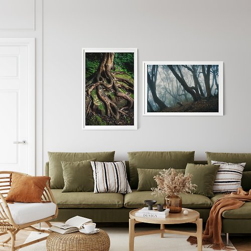 Ryan Campbell Photography Set of 2 Forest Tree Prints - Ancient Forest Bundle