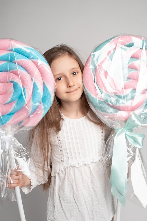 Decorukami Giant fake lollipop - Babyshower lollipop - Candyland decor Pink and blue candy