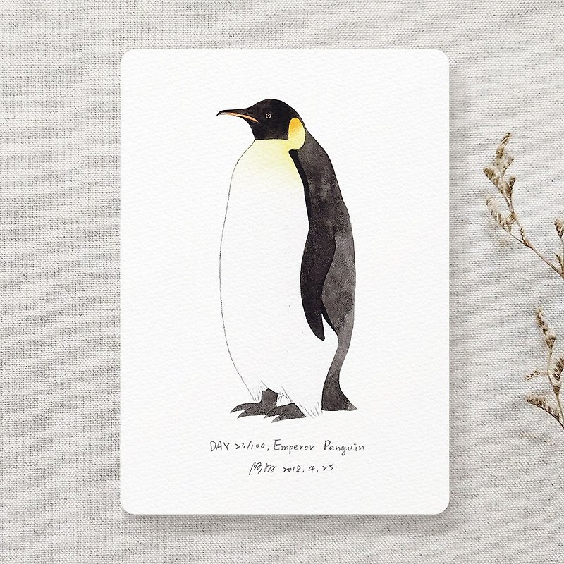 企鵝明信片 - 心意卡/卡片 - 紙 黑色