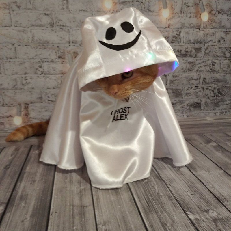 Cat Ghost Costumes | Glowing decor for a cat | Nightmare Halloween | Halloween | - ชุดสัตว์เลี้ยง - เส้นใยสังเคราะห์ ขาว