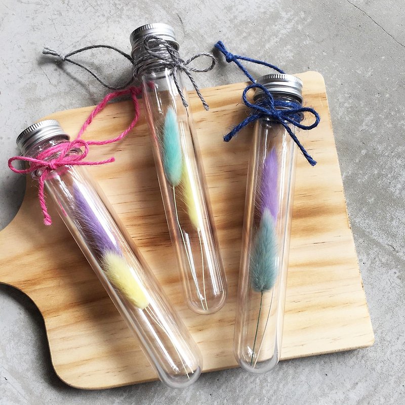 "Wannabe" dream candy color dry flower test tube hanging bottle ~ Wenqing sense of graduation gift table furnishings horns color table desk pendulum gift room layout floral wedding wedding arrangement bunny grass dried bouquet MIT gift guest mate - Plants - Plants & Flowers Multicolor