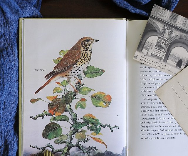イギリスの1969年代[シェイクスピアの鳥]鳥のヴィンテージ古書