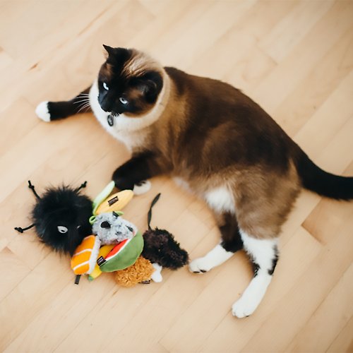 PLAY寵物生活館 【貓玩具 狂野貓咪 美食系列】貓草 逗貓 寵物